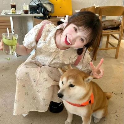 狗的审判