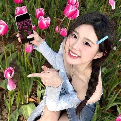 智叻狗仔队