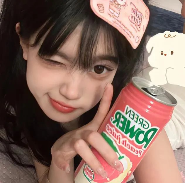 狮子护卫队第二季